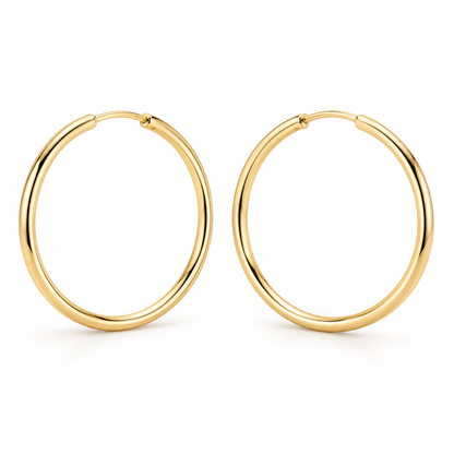 Avelissesw Gold-Tone Classic Hoop Earrings