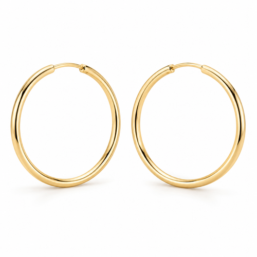 Avelissesw Gold-Tone Classic Hoop Earrings