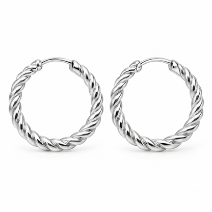 Avelissesw Silver-Tone Twisted Hoop Earrings